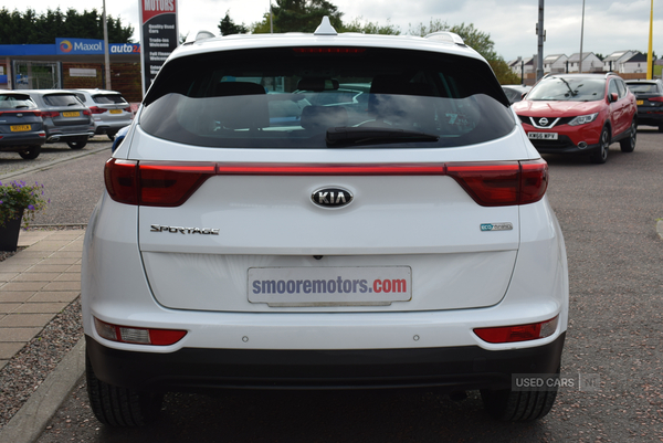 Kia Sportage ESTATE in Antrim
