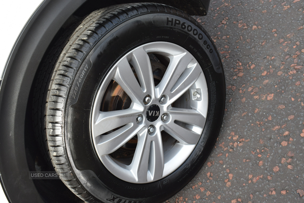 Kia Sportage ESTATE in Antrim