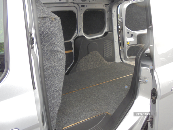 Ford Transit Connect in Tyrone
