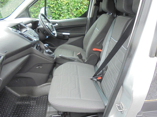 Ford Transit Connect in Tyrone