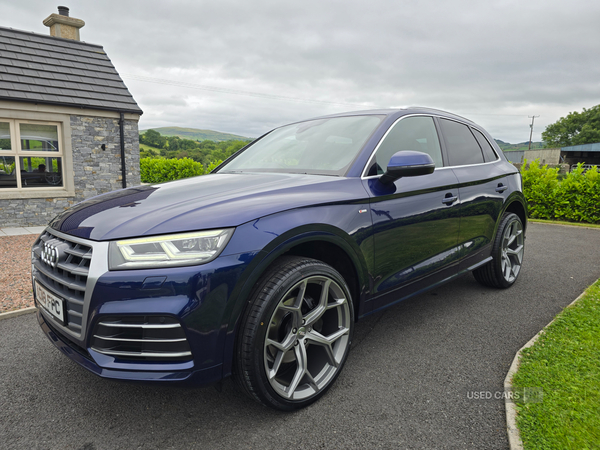 Audi Q5 DIESEL ESTATE in Down