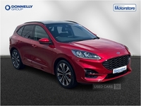 Ford Kuga 1.5 EcoBoost ST-Line X 5dr in Antrim