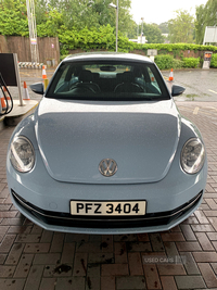 Volkswagen Beetle 1.4 TSI Design 3dr in Tyrone
