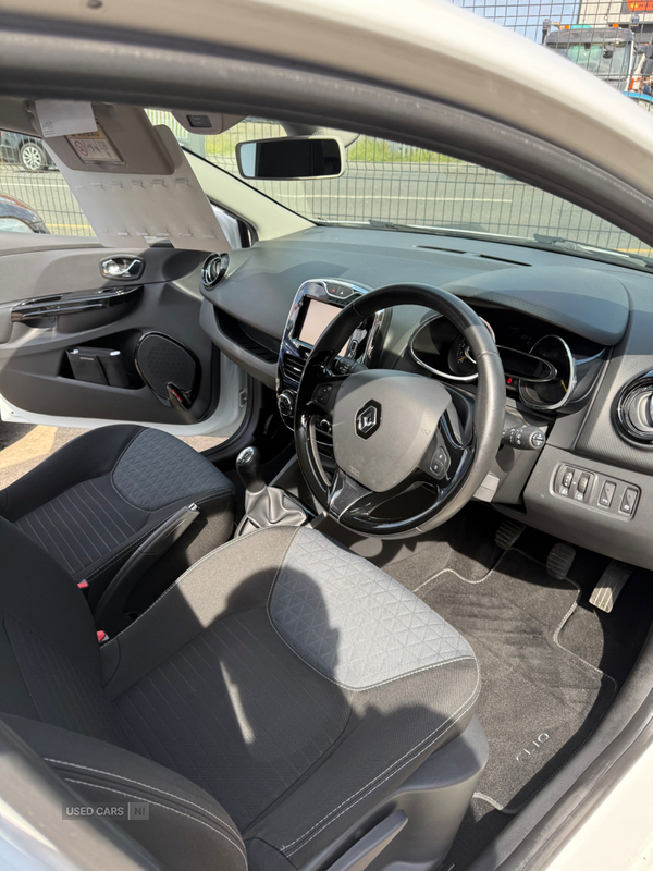 Renault Clio HATCHBACK in Down