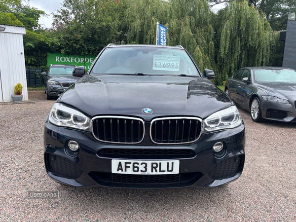 BMW X5 DIESEL ESTATE in Antrim