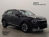 Kia Sportage 1.6T GDi 157 48V ISG 2 5dr in Down