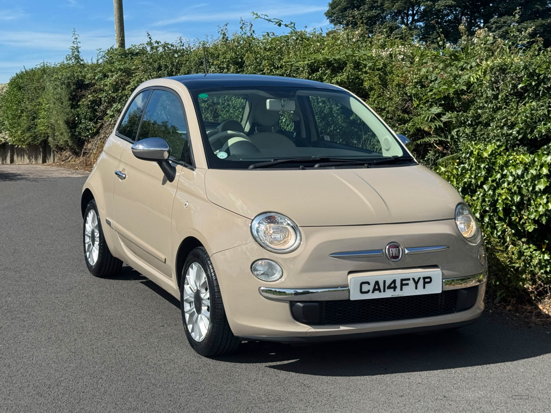 Fiat 500 HATCHBACK in Down