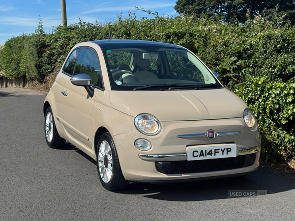 Fiat 500 HATCHBACK in Down