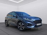 Ford Kuga St-Line X 2.0 190ps All wheel drive, Ni Car, great for Export to Ireland in Derry / Londonderry