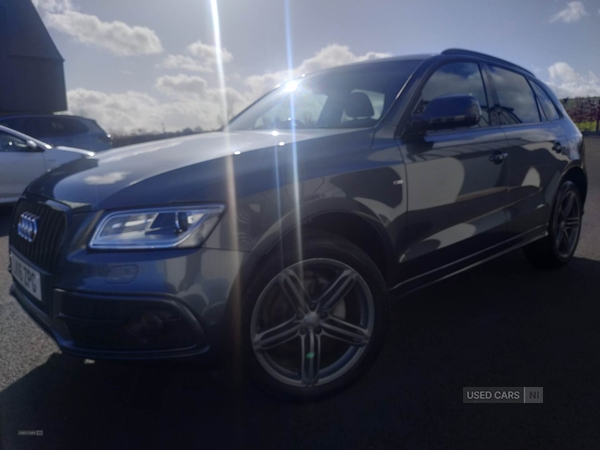 Audi Q5 ESTATE SPECIAL EDITIONS in Armagh