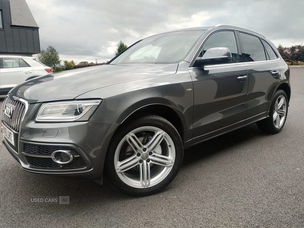 Audi Q5 ESTATE SPECIAL EDITIONS in Armagh