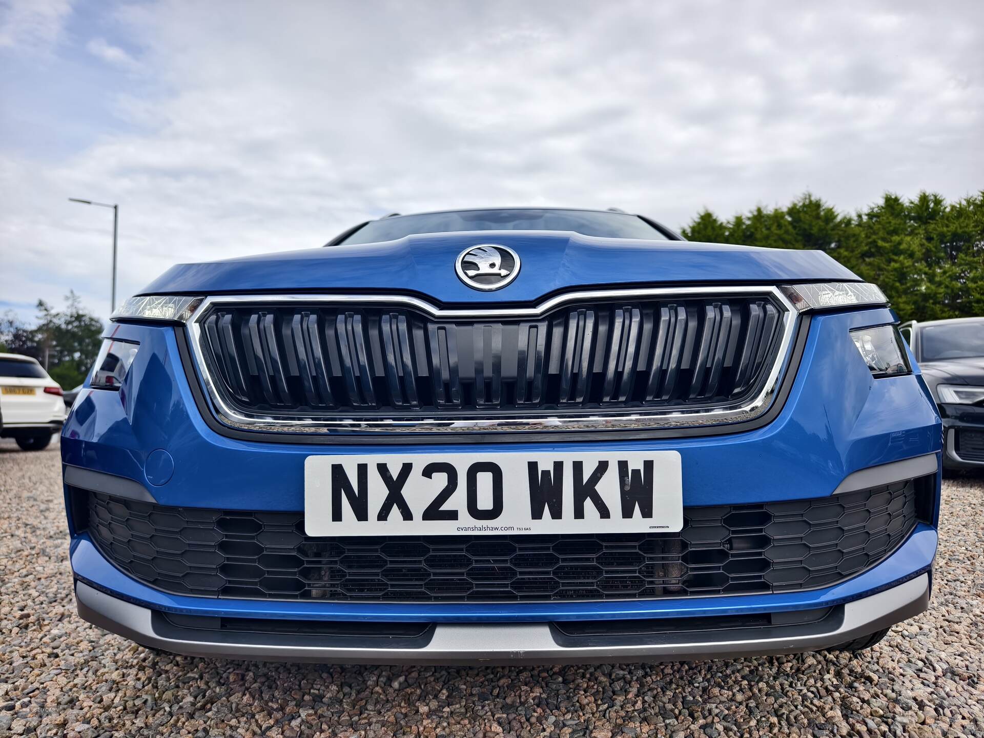 Skoda Kamiq DIESEL HATCHBACK in Fermanagh