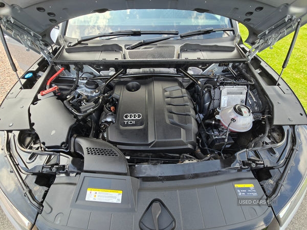 Audi Q5 DIESEL ESTATE in Down
