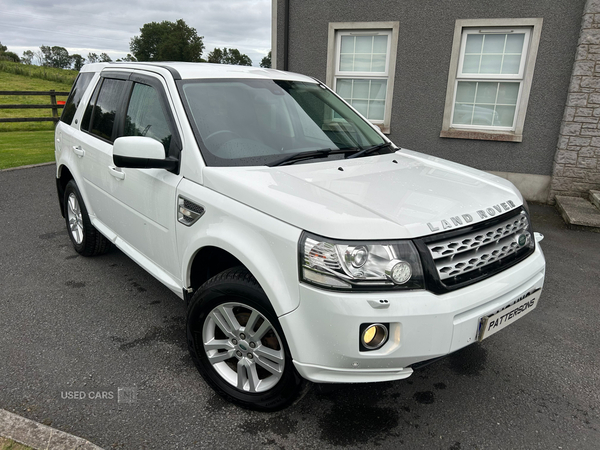 Land Rover Freelander DIESEL SW in Armagh