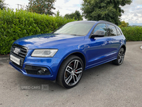Audi Q5 ESTATE SPECIAL EDITIONS in Down