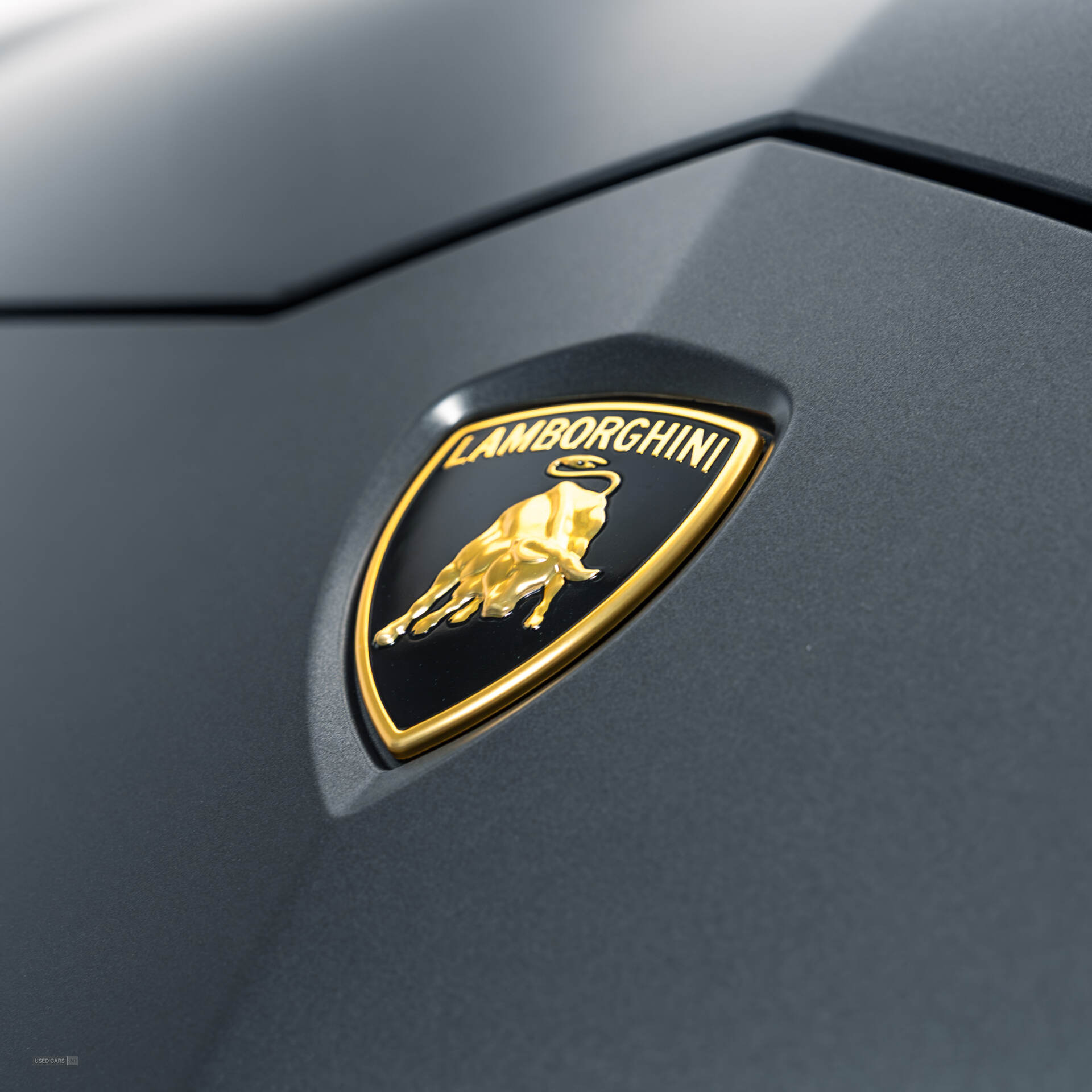 Lamborghini Urus in Antrim