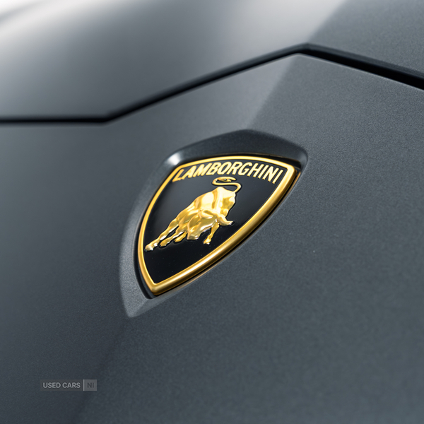 Lamborghini Urus in Antrim