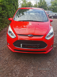 Ford B-Max 1.0 EcoBoost Zetec 5dr in Tyrone