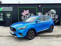 MG ZS HATCHBACK in Down