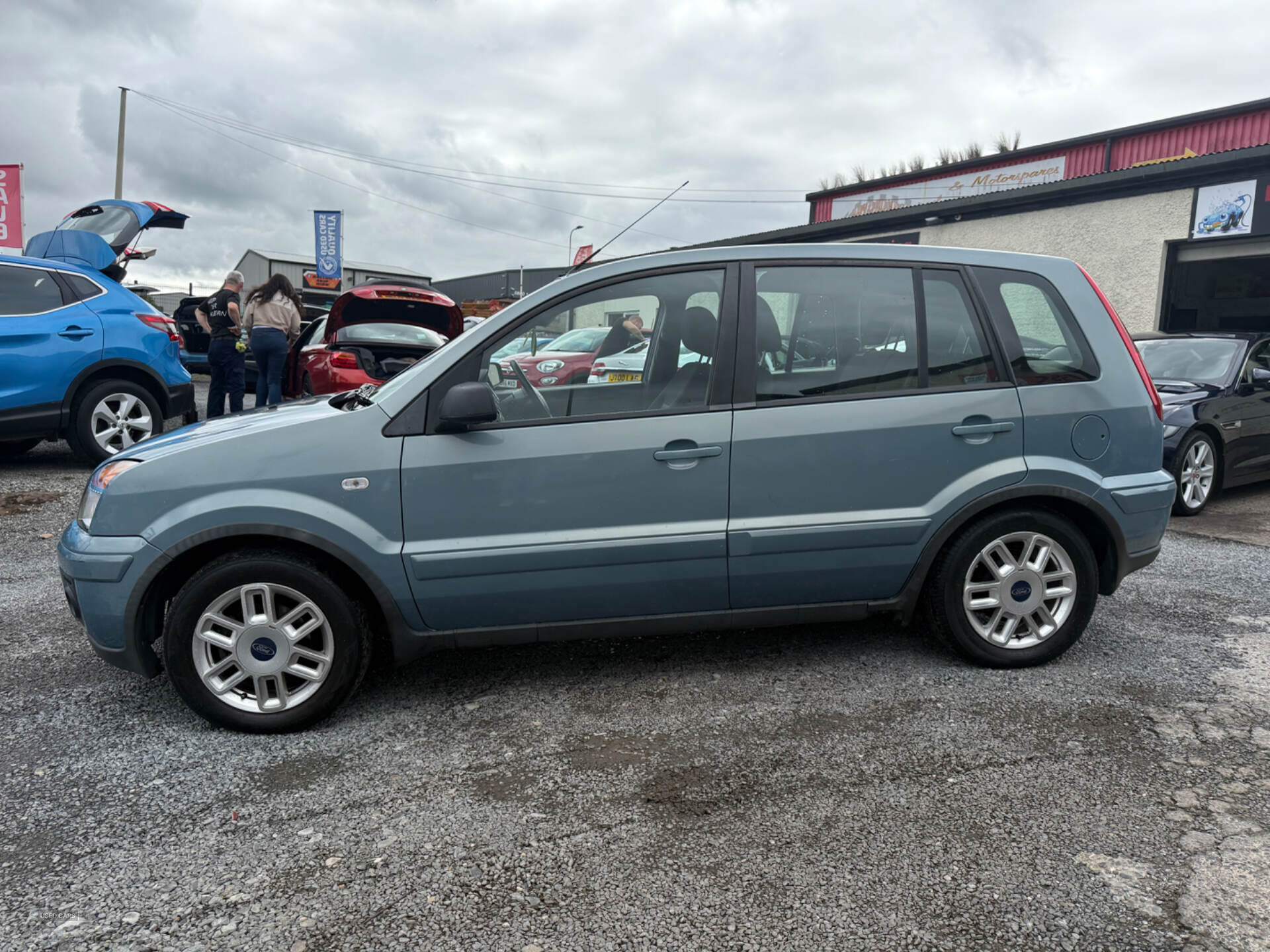 Ford Fusion ESTATE in Down