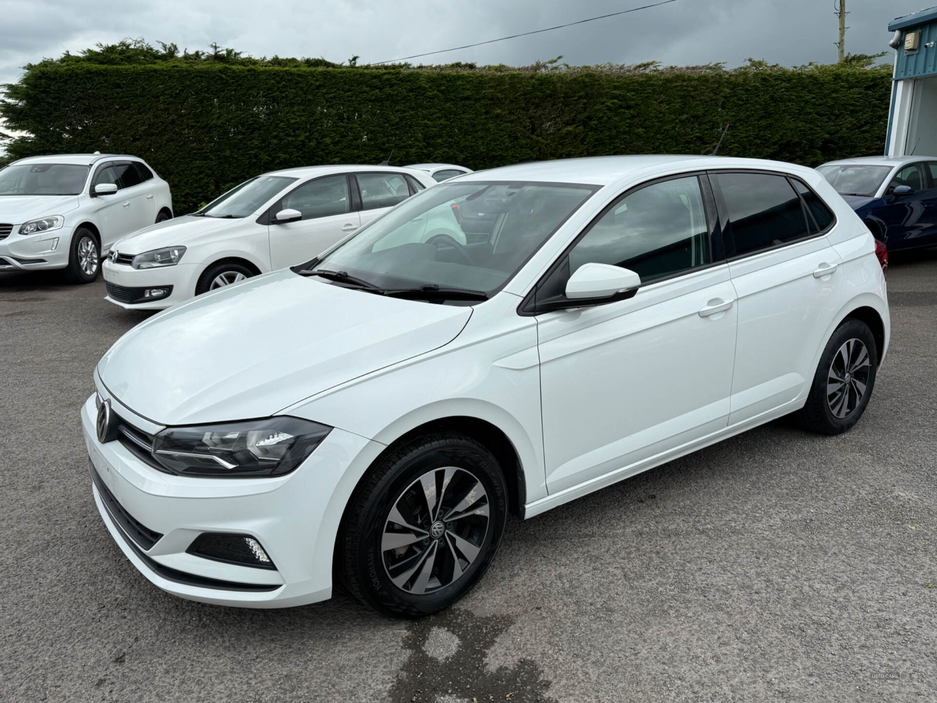 Volkswagen Polo 1.0 TSI DSG SE 95 in Antrim