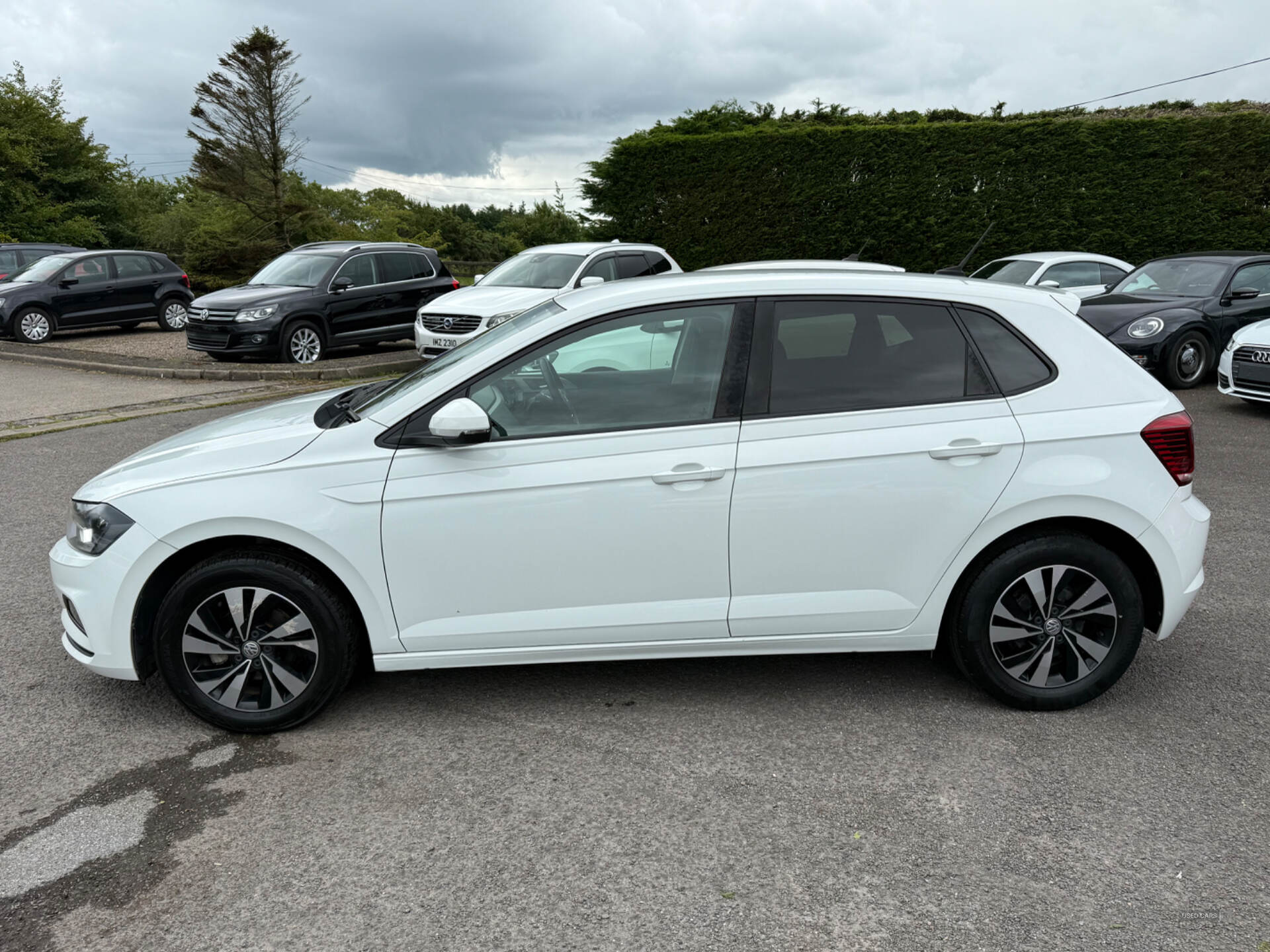 Volkswagen Polo 1.0 TSI DSG SE 95 in Antrim