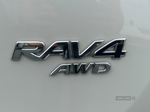 Toyota RAV4 DIESEL ESTATE in Tyrone