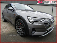 Audi E-Tron ESTATE in Derry / Londonderry