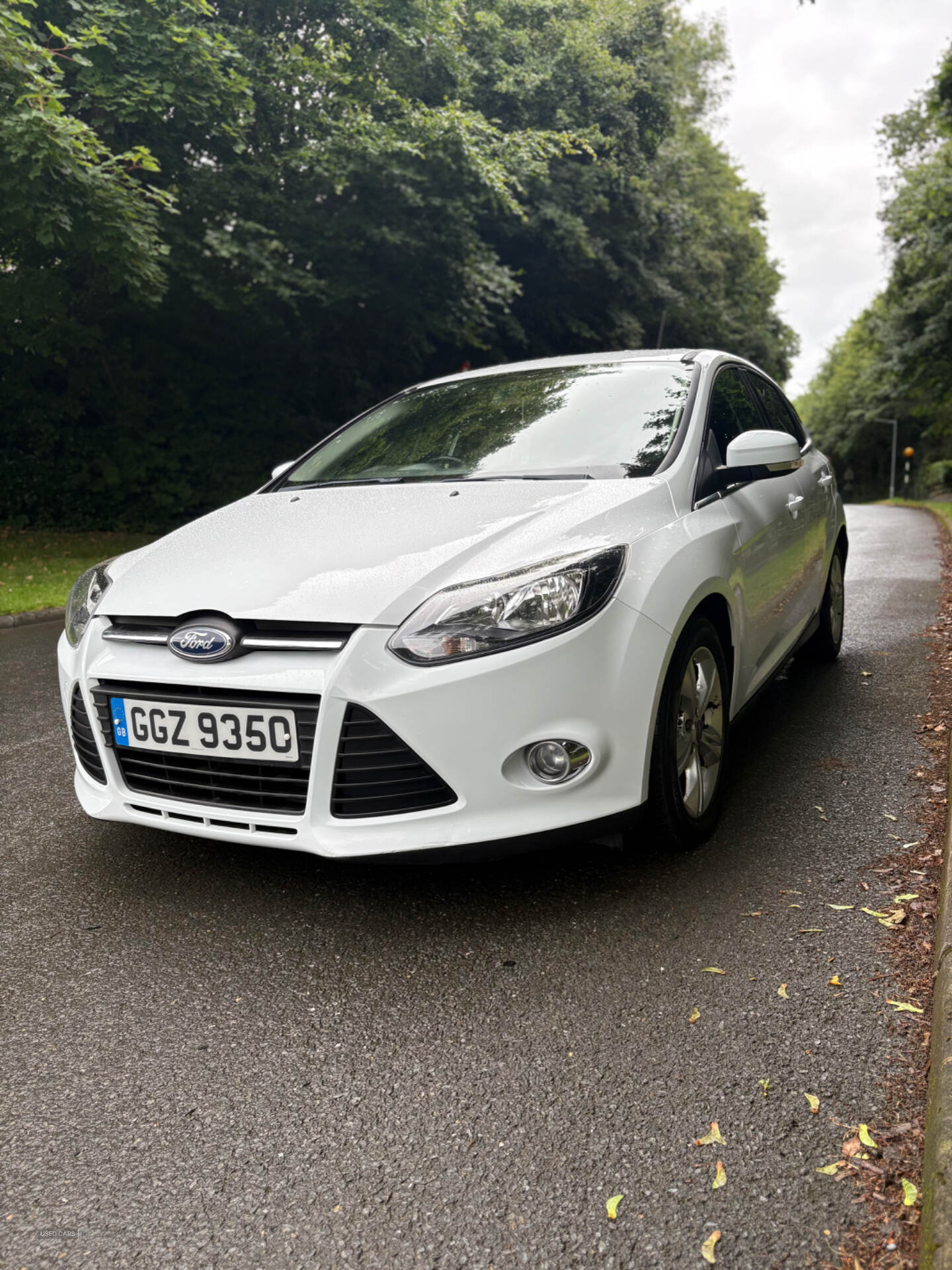 Ford Focus DIESEL HATCHBACK in Armagh