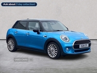 MINI HATCHBACK in Down