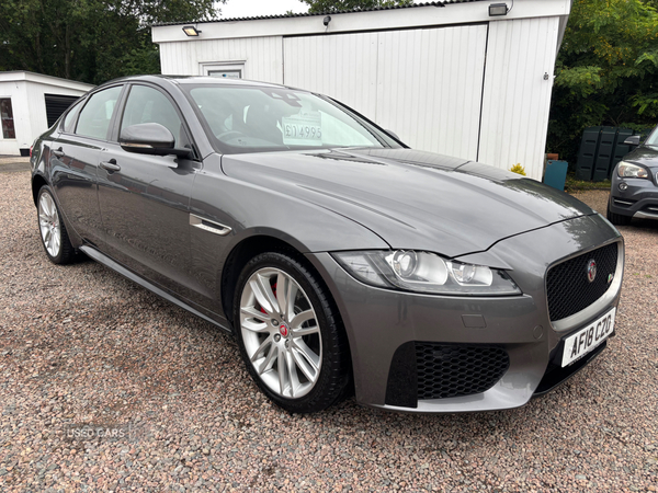 Jaguar XF DIESEL SALOON in Antrim