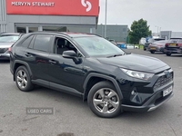 Toyota RAV4 Design Hev 4X2 Cvt in Antrim