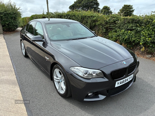 BMW 5 Series DIESEL SALOON in Down