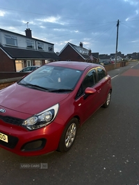 Kia Rio 1.25 1 5dr in Down