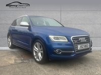 Audi SQ5 3.0 BiTDI V6 Tiptronic quattro Euro 5 (s/s) 5dr in Down