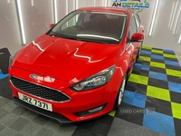 Ford Focus HATCHBACK in Down