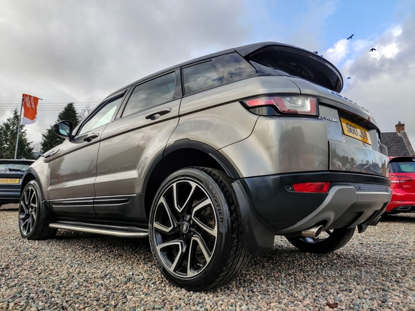 Land Rover Range Rover Evoque DIESEL HATCHBACK in Fermanagh