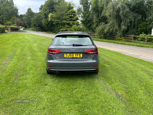 Audi A3 DIESEL SPORTBACK in Armagh