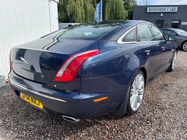 Jaguar XJ Series DIESEL SALOON in Antrim