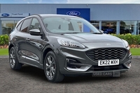Ford Kuga 2.5 FHEV ST-Line Edition 5dr CVT*REAR CAMERA - POWER TAILGATE - B&O AUDIO - FRONT & REAR SENSORS - APPLE CARPLAY - SAT NAV - CRUISE CONTROL - HYBRID* in Antrim