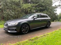 Audi A4 3.0 TDI S Line 5dr S Tronic in Tyrone