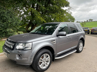 Land Rover Freelander DIESEL SW in Fermanagh