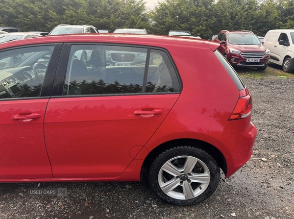 Volkswagen Golf DIESEL HATCHBACK in Tyrone