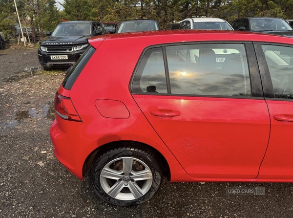 Volkswagen Golf DIESEL HATCHBACK in Tyrone