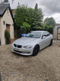 BMW 3 Series 320i SE 2dr in Down