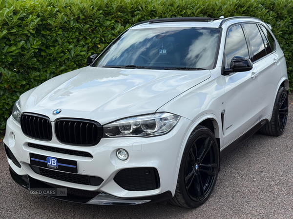 BMW X5 DIESEL ESTATE in Tyrone