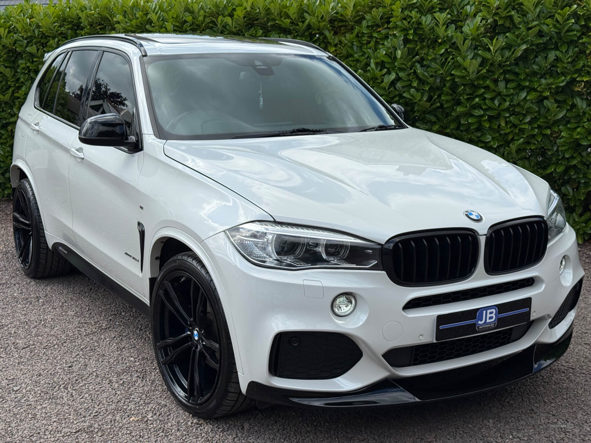 BMW X5 DIESEL ESTATE in Tyrone