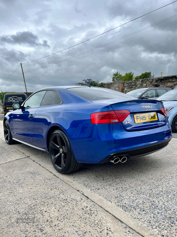 Audi A5 COUPE SPECIAL EDITIONS in Down