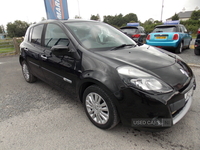 Renault Clio HATCHBACK SPECIAL EDITIONS in Down