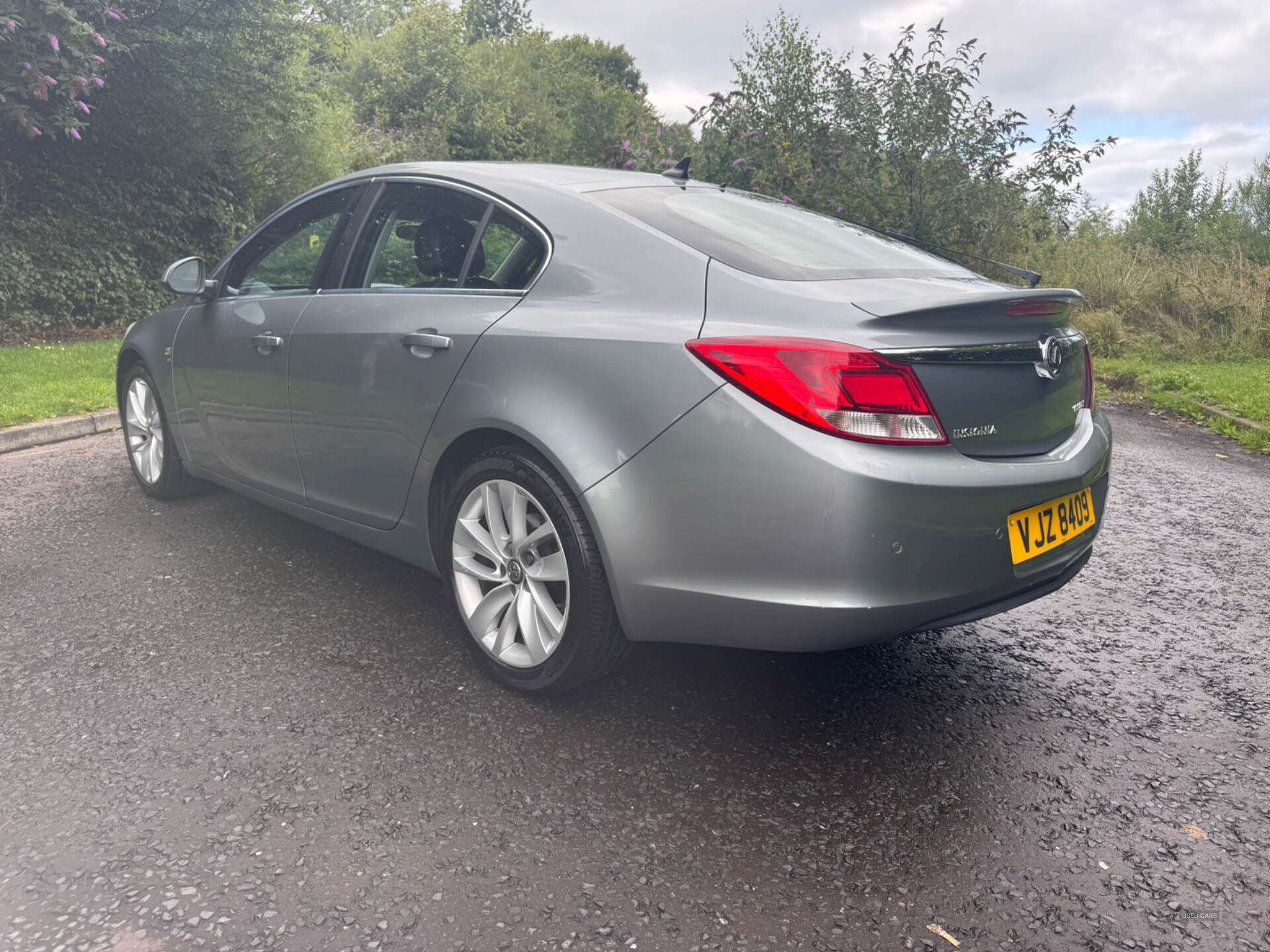 Vauxhall Insignia DIESEL HATCHBACK in Down